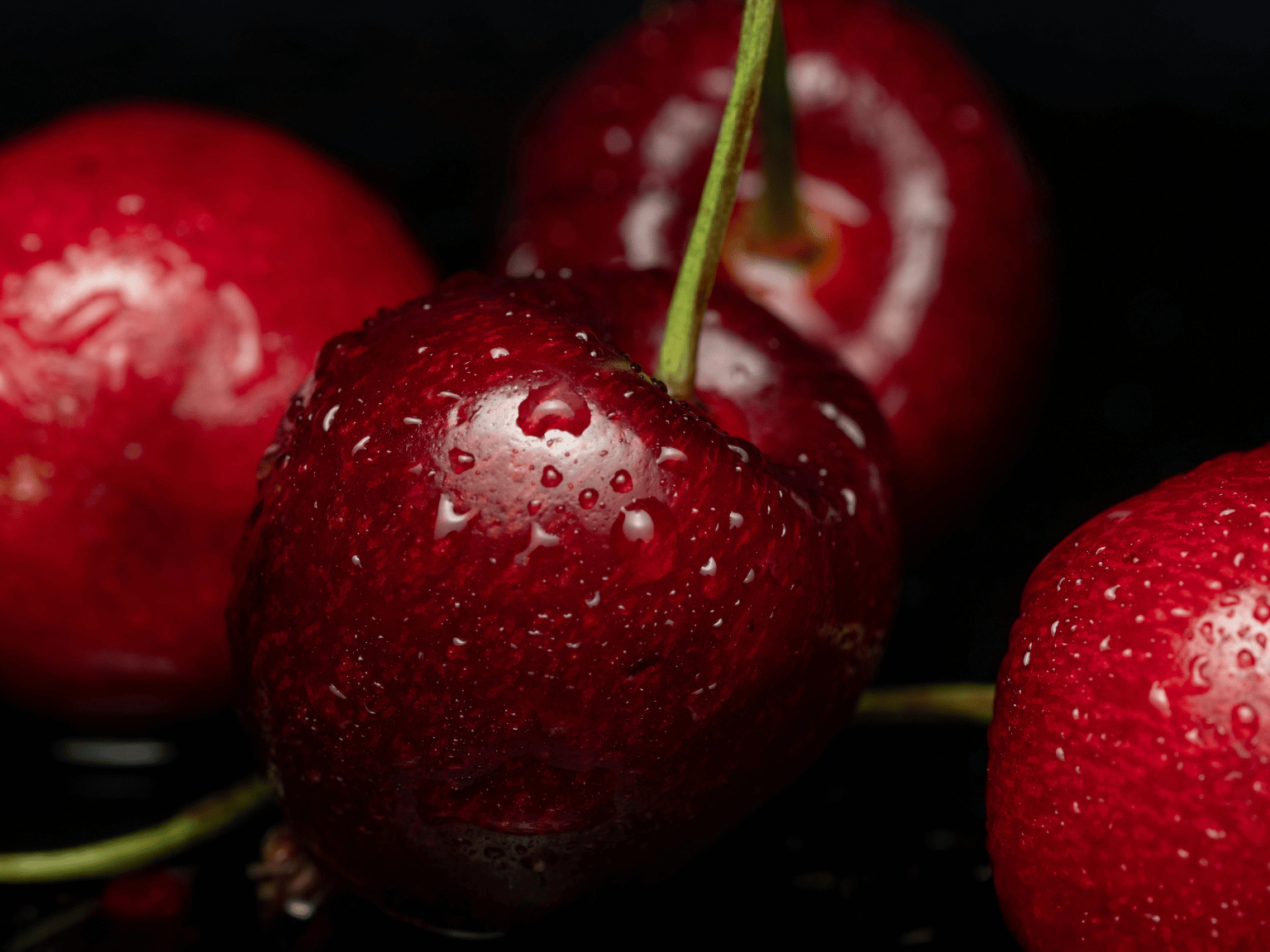 ¿Qué es la Cereza Ácida (Tart Cherry)?