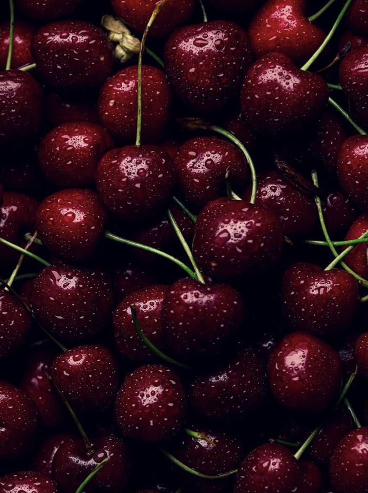 Tart Cherry
