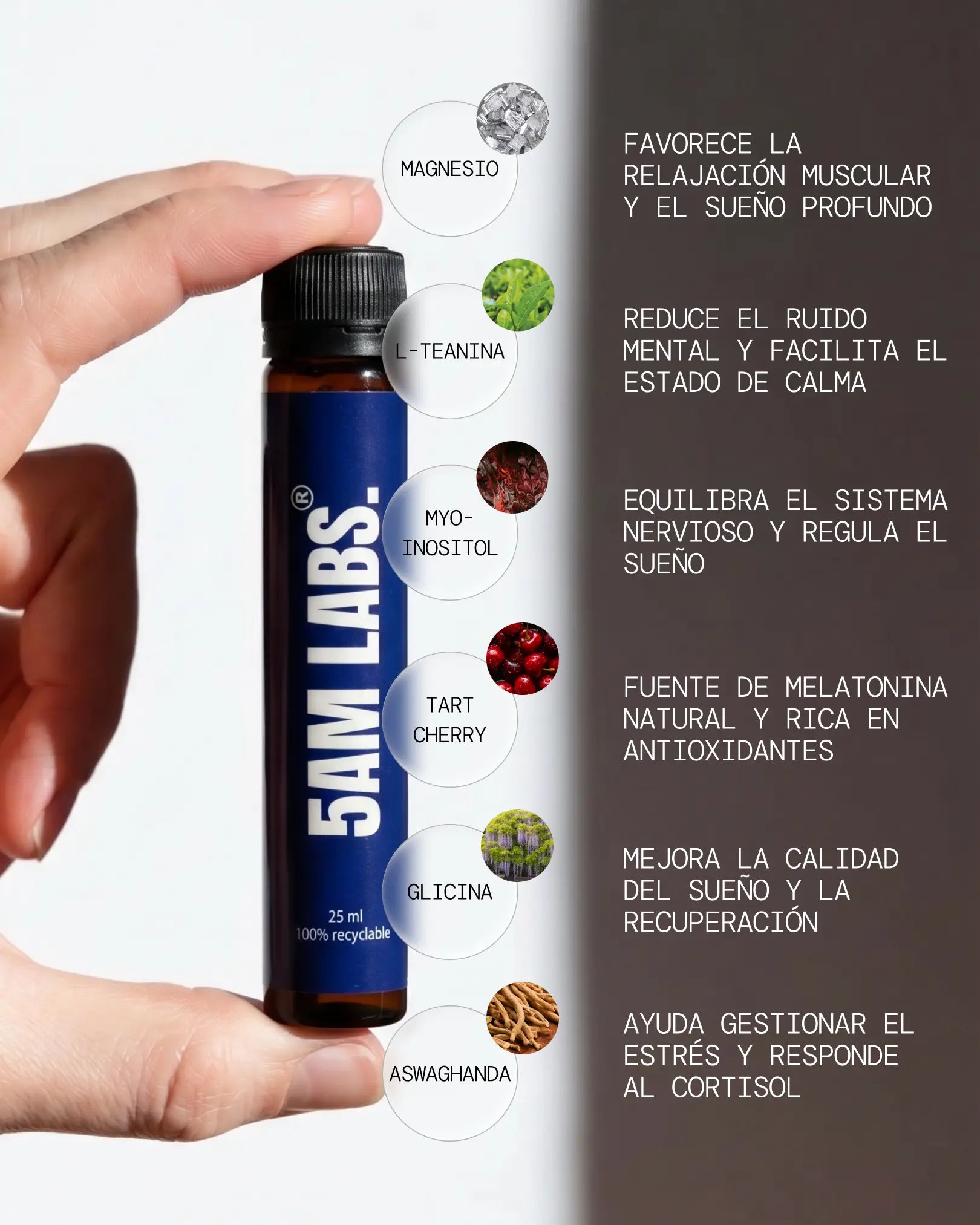 Imagen de diapositiva